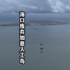 海口如意人工岛，计划配套设施和规模直接对标迪拜棕榈岛，如今只剩下光秃秃的岛屿，他该何去何从呢？#废弃人工岛#海口#如意岛