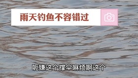 d0f6be24b5d66fb7dcc9a7d3e5d7124af41260c6.jpg@280w_158h_1c_100q.jpg