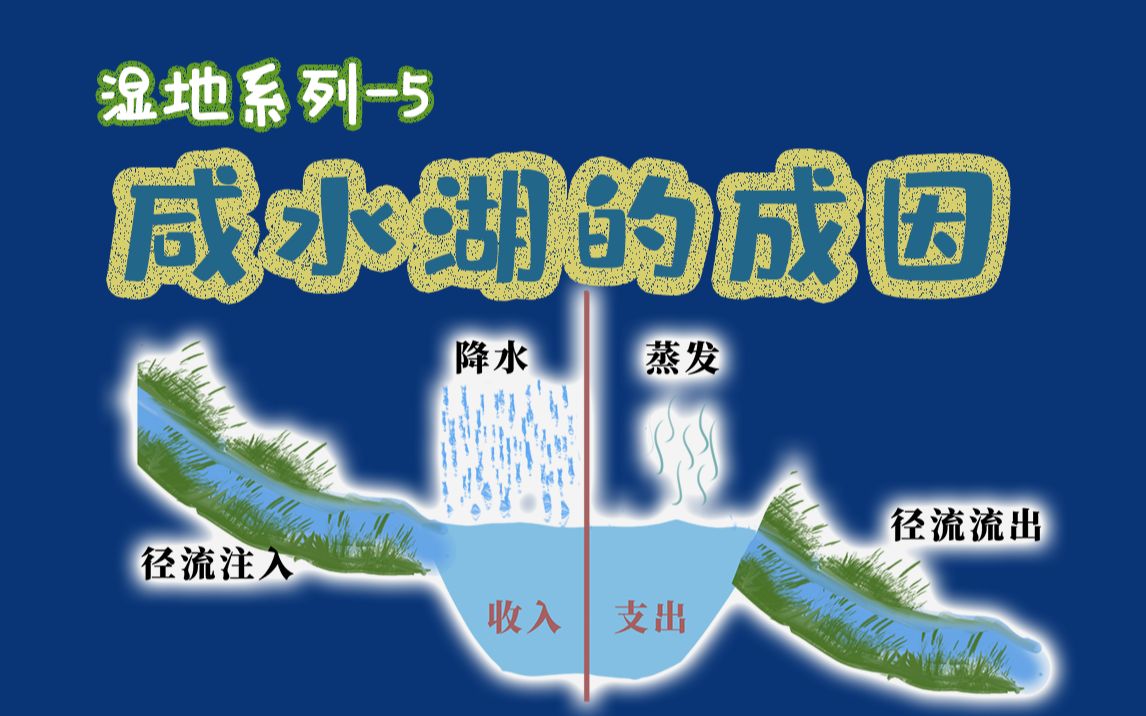 淡水湖、咸水湖的成因【羊羊地理 | 手绘动画33】