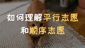 d11d57923f652b6d96d33892bf482570e58204b1.jpg@280w_158h_1c_100q.jpg