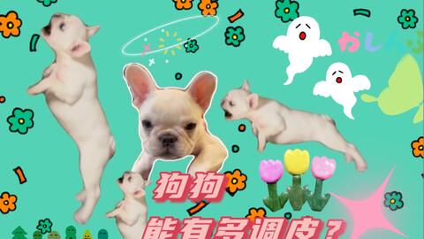 d14780a1624cb0cebe4765c2cd923e64995ce850.jpg@480w_270h_1c