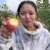 老挝媳妇很惊讶为什么苹果地里要放牛粪？听完公公的回答懵了！