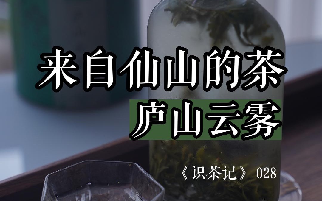 绝美绿茶,庐山云雾|分享这款江西名茶,包括它的风味特征和两种冲泡