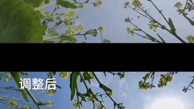 魏莹Venus，一部引人入胜的短剧，魏莹Venus，引人入胜的短剧