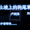 《土坡上的狗尾草》完整版4K60帧 #爱听狗儿歌的小黄去汪星球了 #土坡上的狗尾草 #狗儿要听狗儿歌