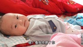 d181b7a4448f374defd295cc946b3a3b276c96cb.jpg@280w_158h_1c_100q.jpg