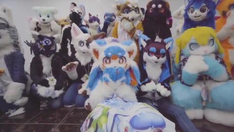 d194c8b2b6a629d26fa0ef5ba53a705b6df5fd5c.jpg@480w_270h_1c