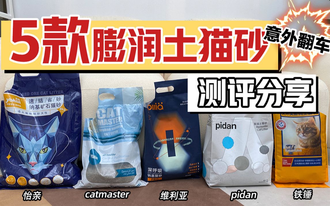 膨润土猫砂真的要用了才知道好不好！！第一款我就emo了