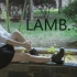 【岚绪】Lamb(◦˙▽˙◦)御姐风初投更新p2特效版23333