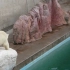 男鹿水族馆 练习爬山的北极熊