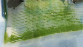 d2065f55bb3dd5436faf73f0eee02c604229d674.jpg@280w_158h_1c_100q.jpg