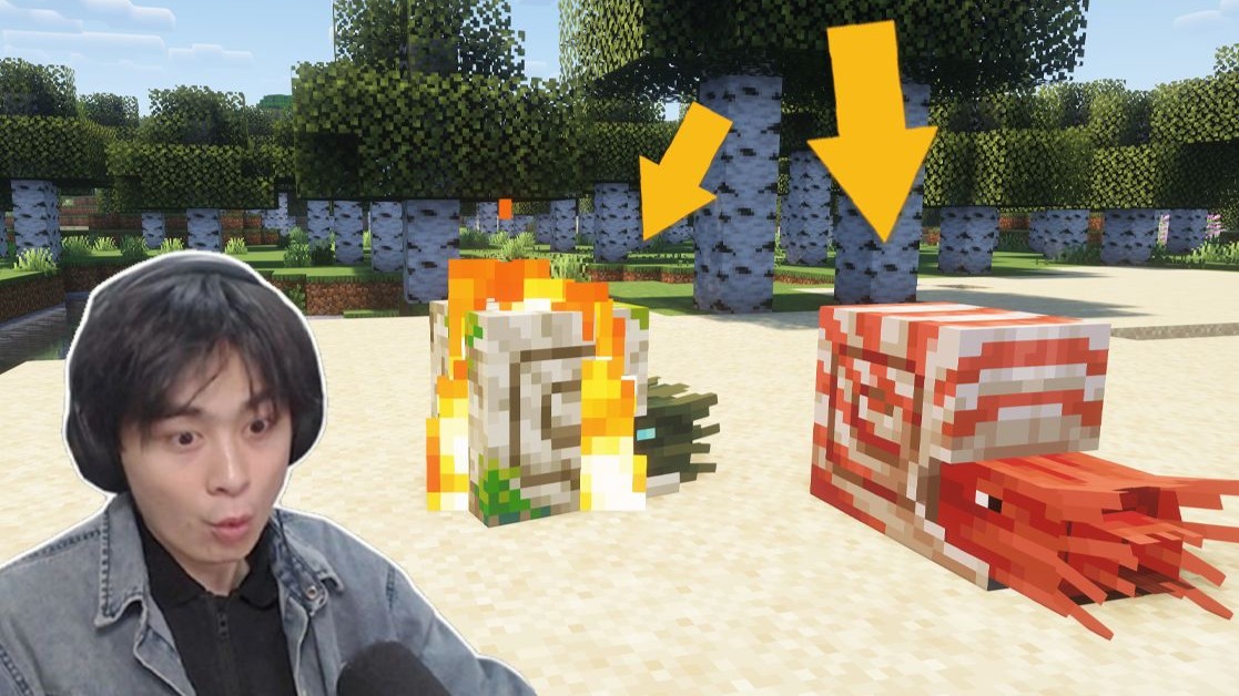 注意这只MC新生物！太有意思了！