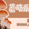 【板绘过程】新手PS板绘练习/蘑菇系列-第一集/涂涂抹抹就是一张画，适合做手账贴纸使用/by Hanna_nono