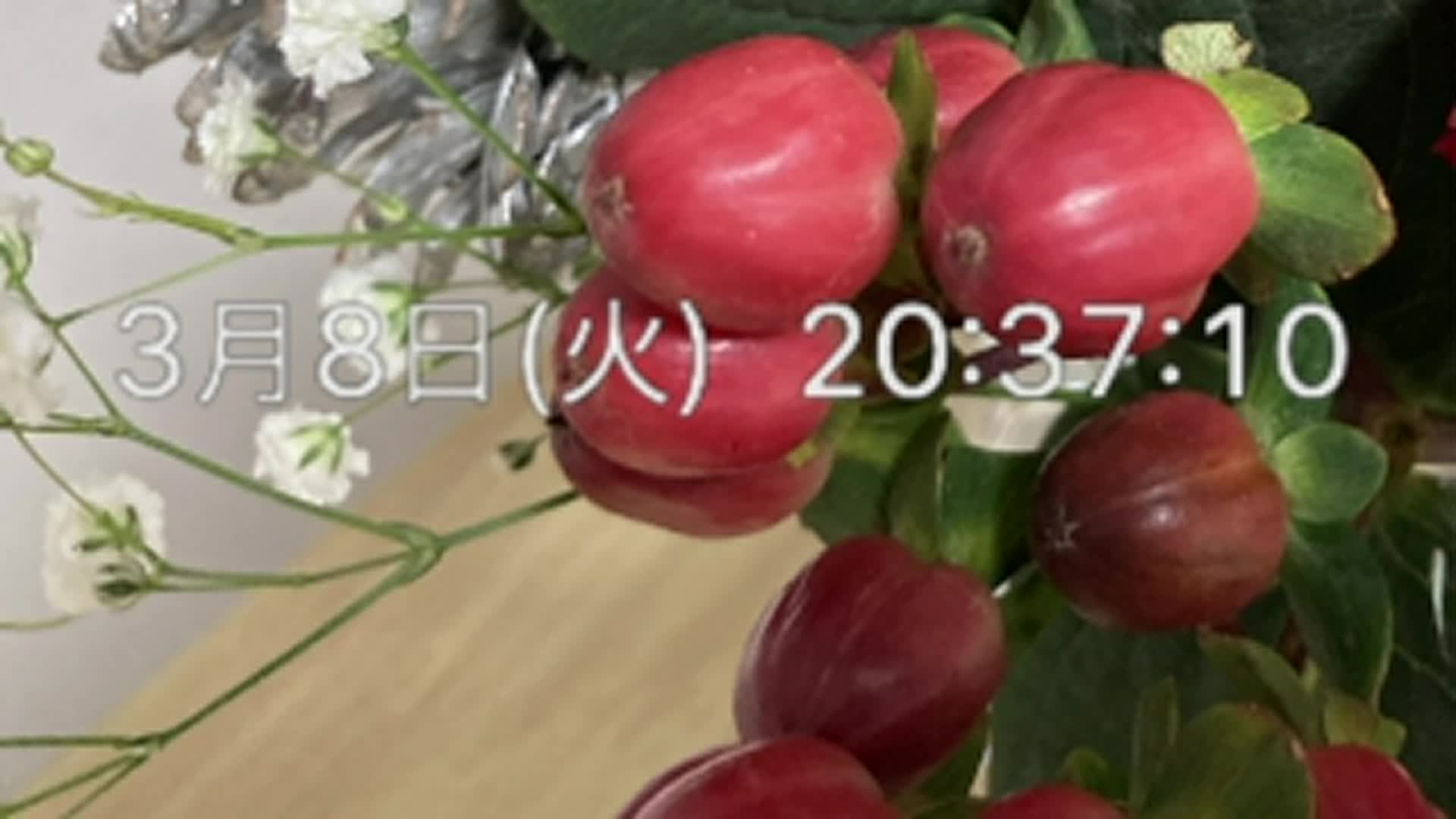 试播新村_哔哩哔哩_bilibili