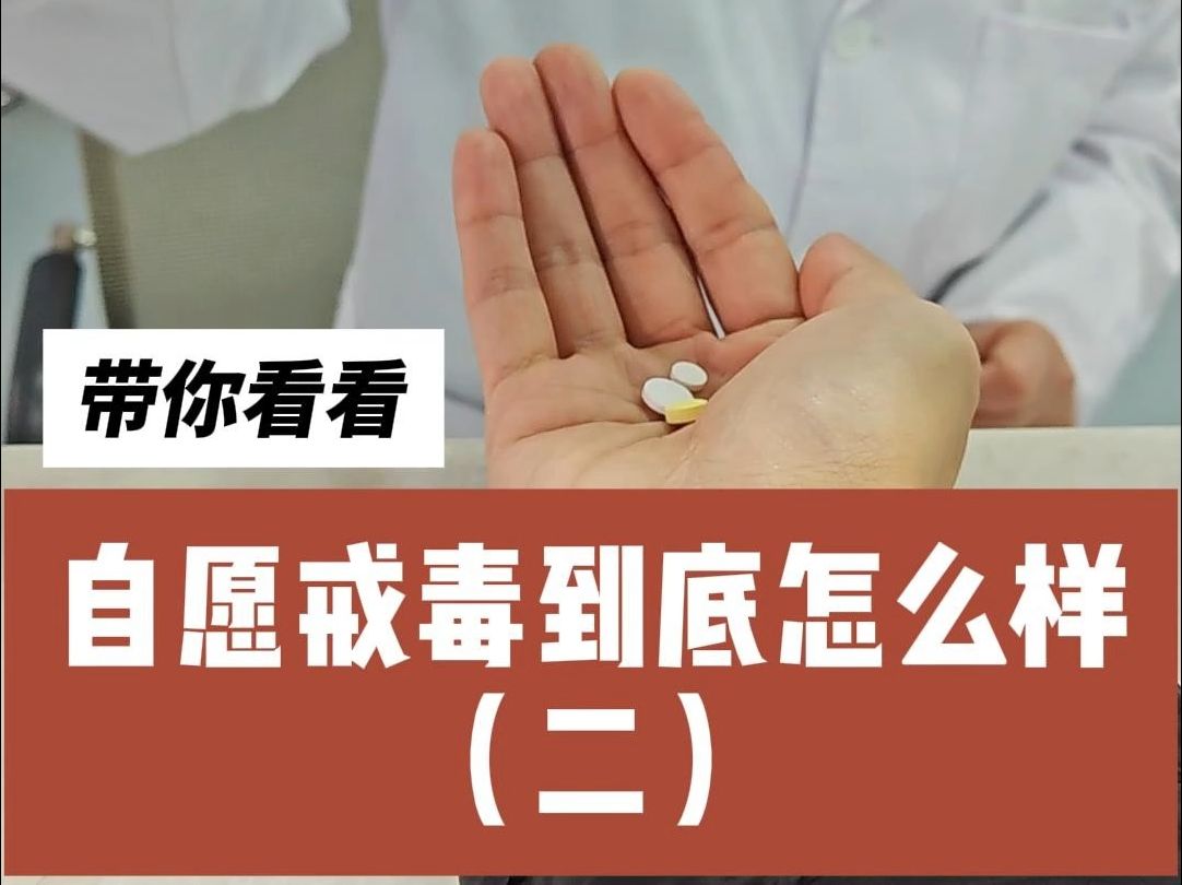 第2集 带你看看自愿戒毒到底怎么样~