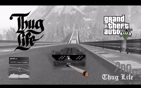 gta 5 暴徒人生&碉堡傻缺时刻 #20