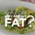 纪录片《我们为什么肥胖》【全3集】1080P