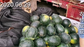 d23e8700e08574445d4db3c81728b9a9d0f9652c.jpg@280w_158h_1c_100q.jpg
