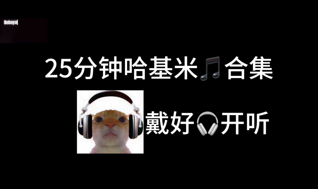 25分钟哈基米音乐合集