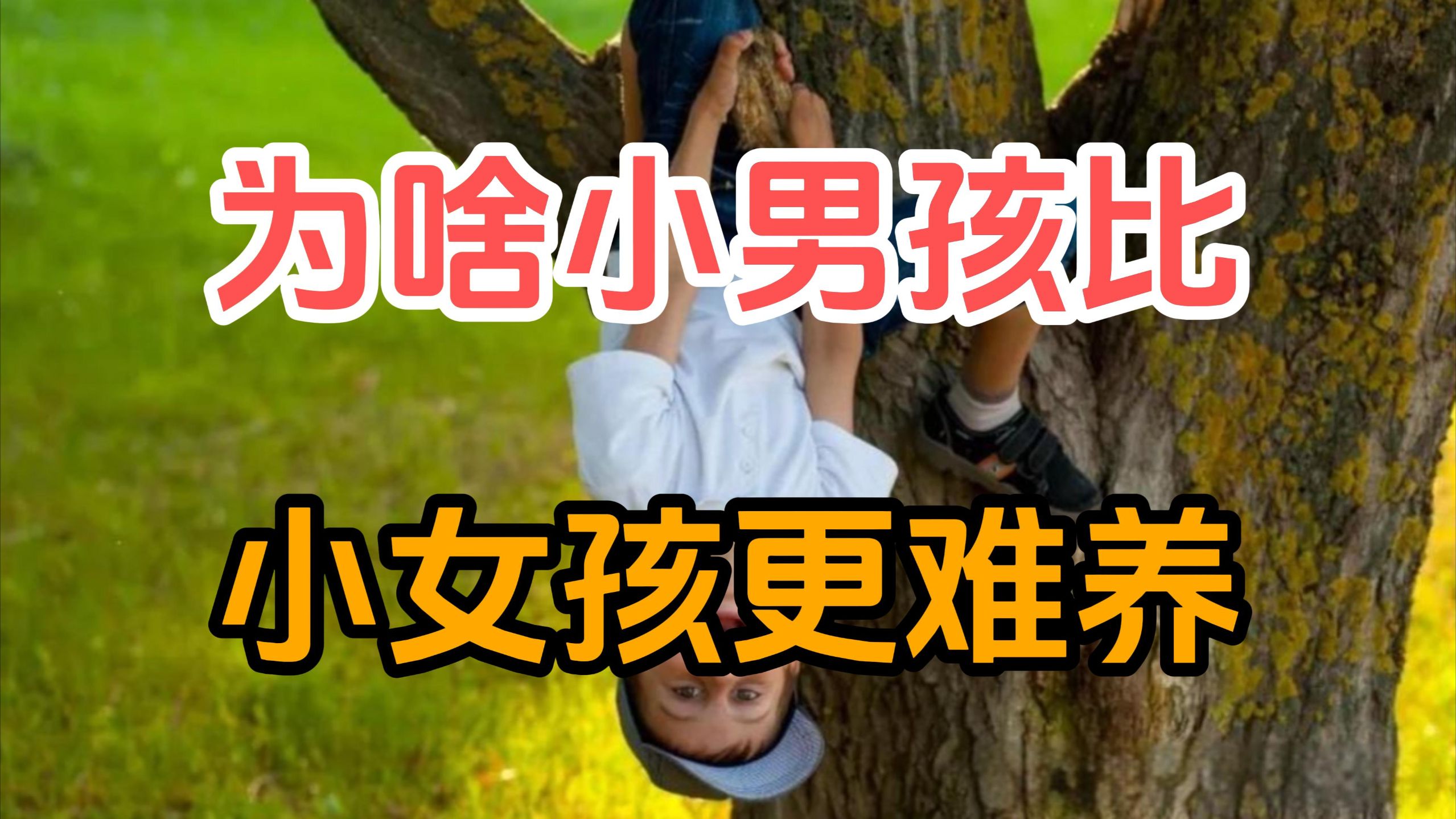 为什么小男孩小时候比小女孩更难养？