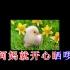 【童年回忆】《鸡公仔》一首广东粤语经典童谣（单曲完整滚动歌词版）