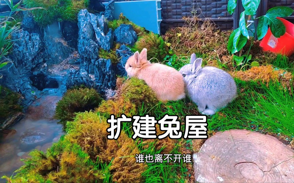 今天有空给兔子做个双层大别墅，这下没人喷我了吧