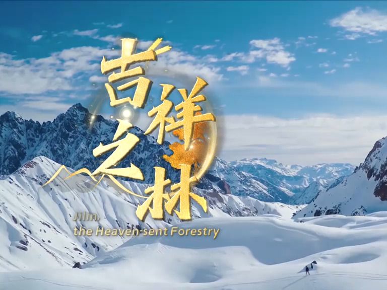 吉林省文旅宣传主题歌《吉祥之林》