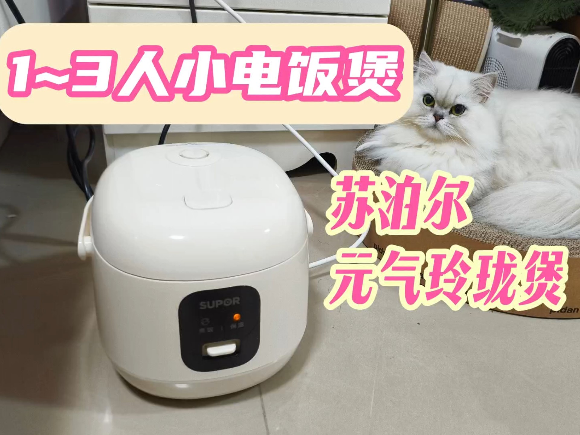 （自购）1~3人小电饭煲体验：苏泊尔元气玲珑煲【番茄评测！】