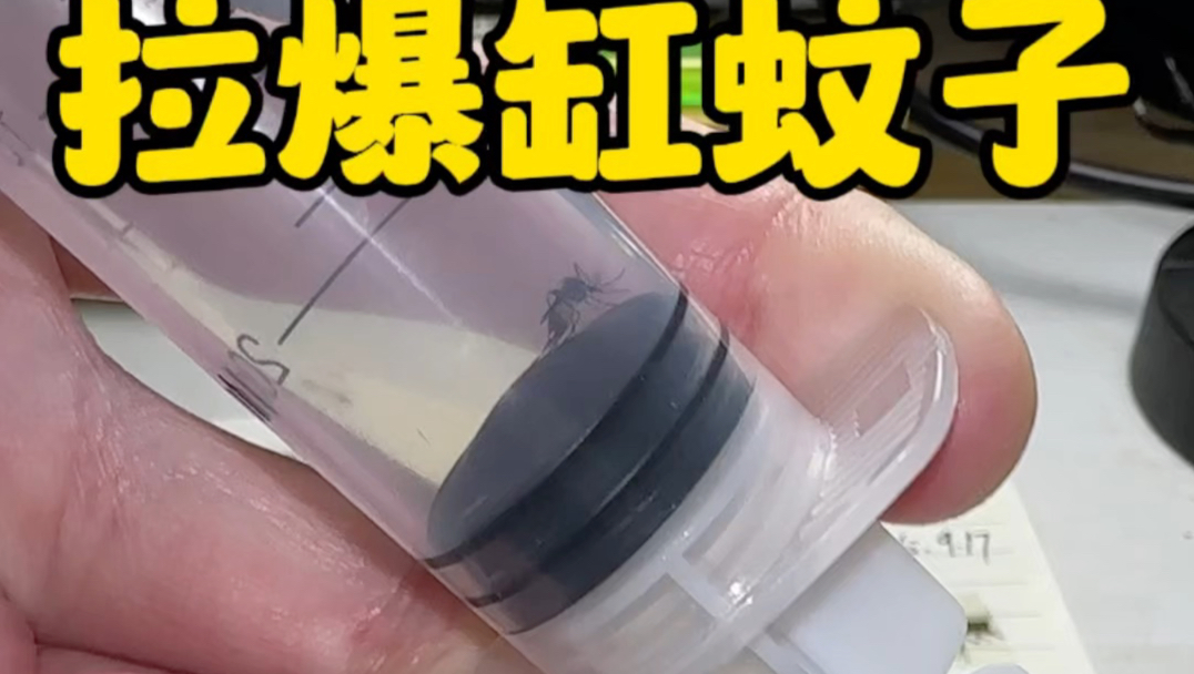 有趣