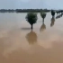 鹤壁浚县，为了泄洪，贡献了所有