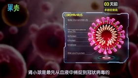 d2adf8d17765e877c729c3cab5589a8d4a77b3cf.jpg@280w_158h_1c_100q.jpg