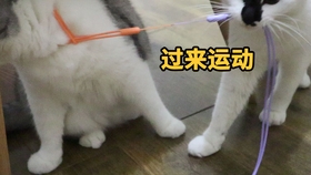 d2bc18ec9e3a3c3ab2120cc87e0b3431543a954a.jpg@280w_158h_1c_100q.jpg
