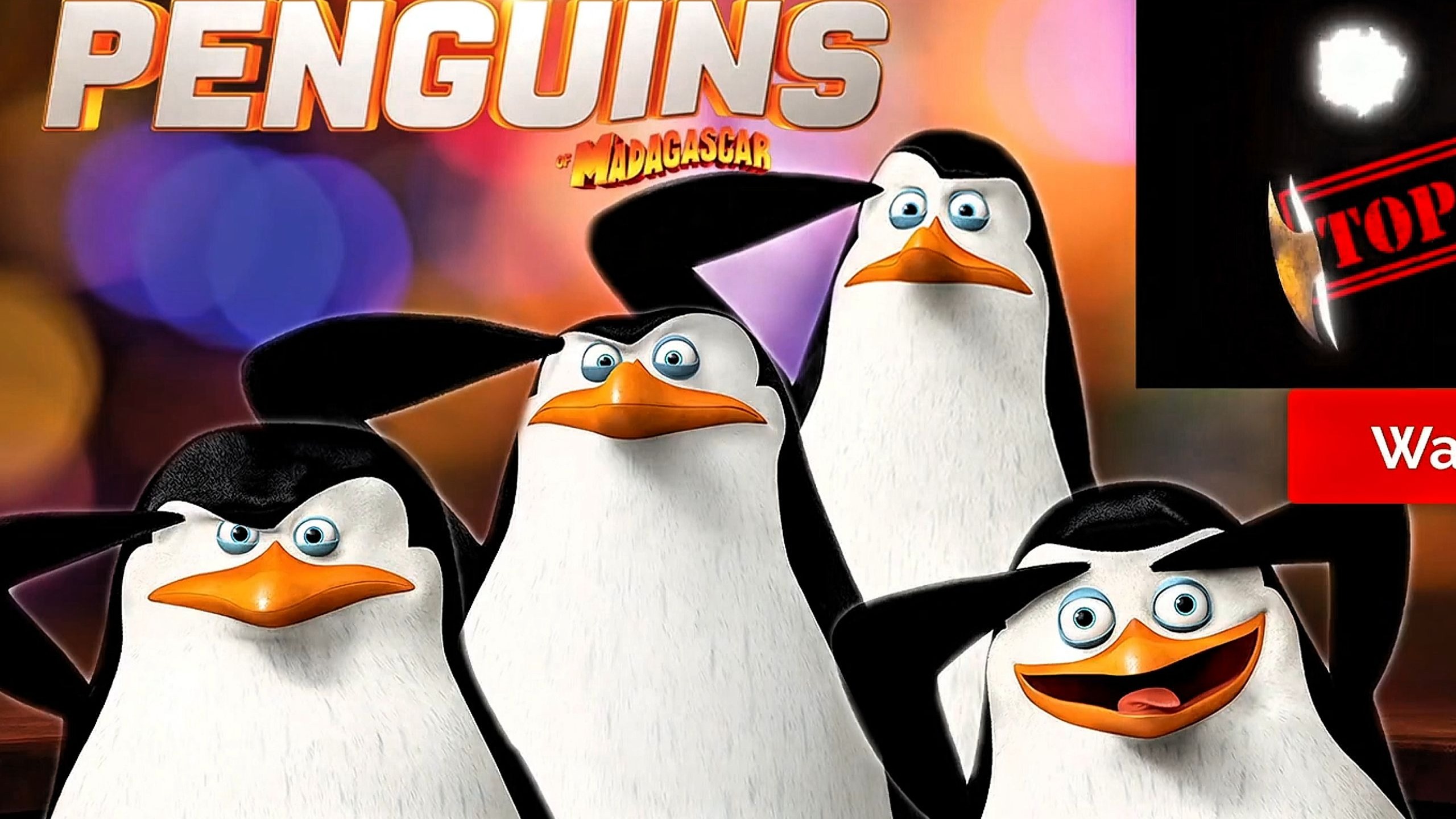 “马达加斯加的企鹅老大的独白”