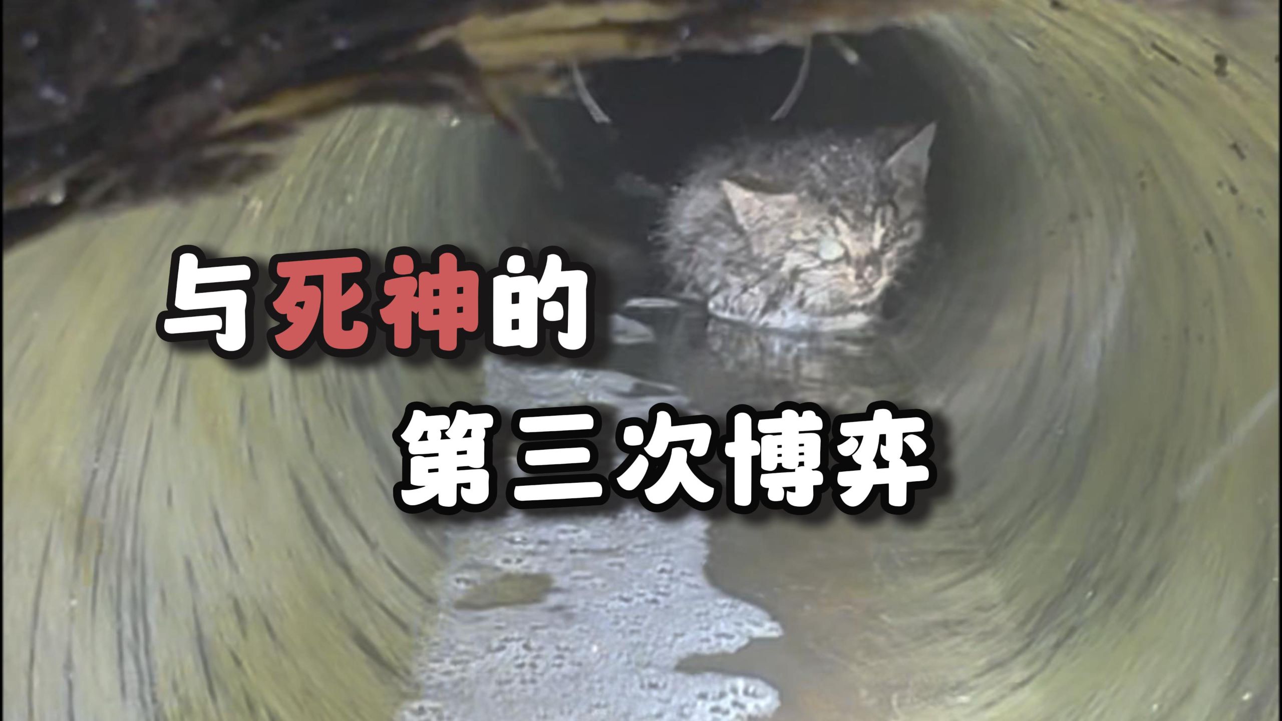 暴雨吞没管道前，它的生命还剩最后5分钟