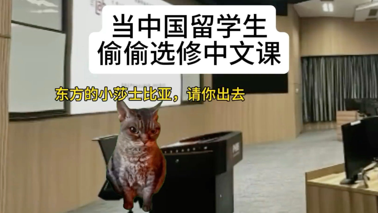 外国教授听懂“温故er知新”吗？