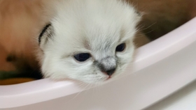 d2d743dd6b2d422c4e58d0758d62d21fb92bafb7.jpg@280w_158h_1c_100q.jpg