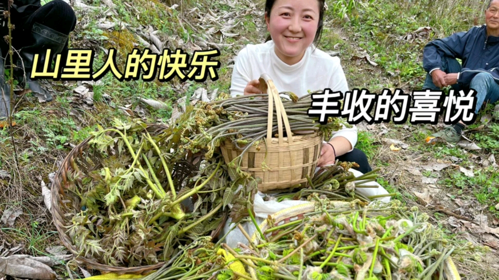 姐们俩上山打蕨苔，经过草木灰的腌制，味道美极了