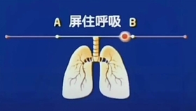 怎么自己测试肺功能正常 d31ade86a9cb0cd2df1f5b10f3626db893b3caca.jpg@280w_158h_1c_100q.jpg