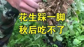 d336dff33f9909d99eba0c14e93e4c4d3a3f96e8.jpg@280w_158h_1c_100q.jpg