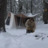 俄罗斯大表哥在零下20°的暴风雪中进行为期3天的露营，搭帐篷做美食完全融入其中，