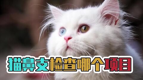 d37d6e526570f57845c8aff8ec695423446a073d.jpg@480w_270h_1c