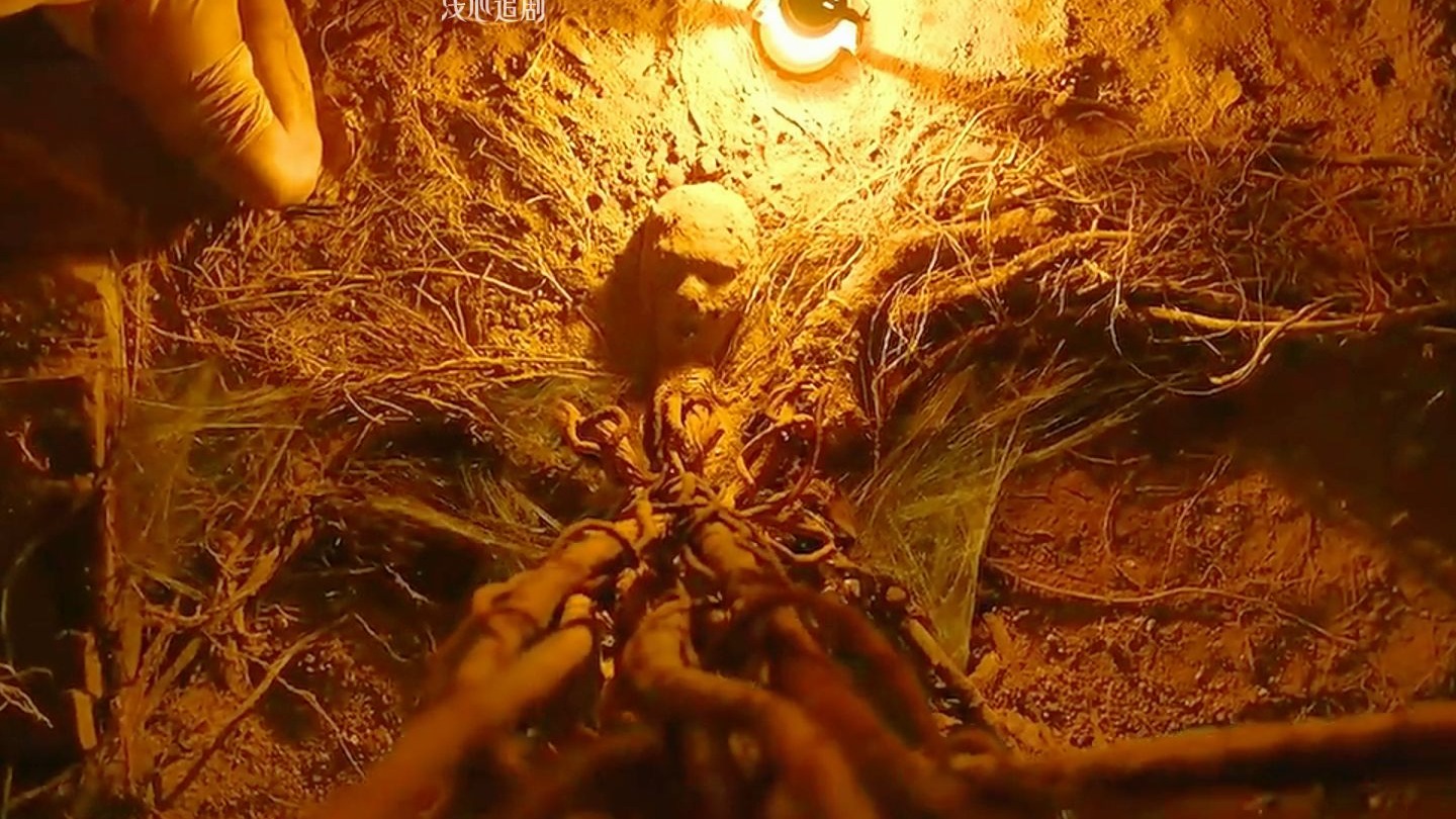 “这个孙子循着铁链找到了身体只剩一副骨架，可依旧活着的曾祖奶奶”《塔巴德》影视剪辑