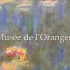 Vlog01. 橘园美术馆沉浸式体验莫奈《睡莲》Water Lilies (Monet series)