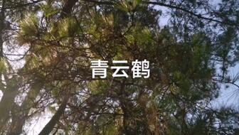 d39fe7a300b2e9354e3b8fbafd9dce6ff5a02dc0.jpg@336w_190h_1c.jpg