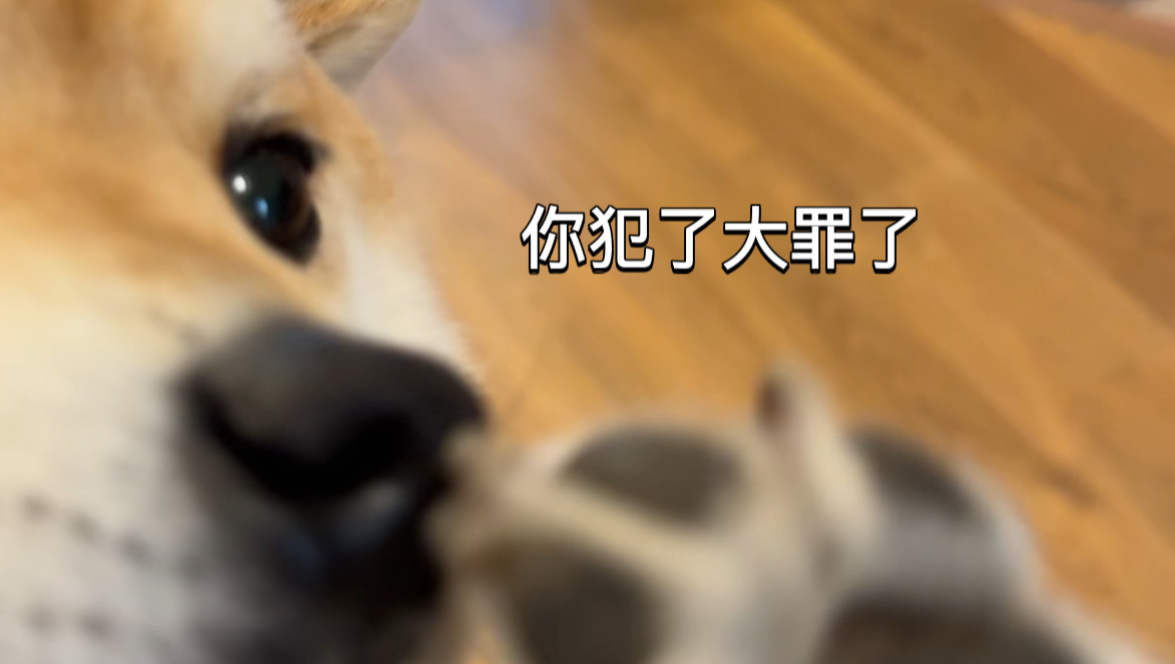 十二星座决定你的专属牢房