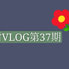 阿树的一周vlog  小姐妹生日会  杂乱的艺校生活   拍摄花絮分享