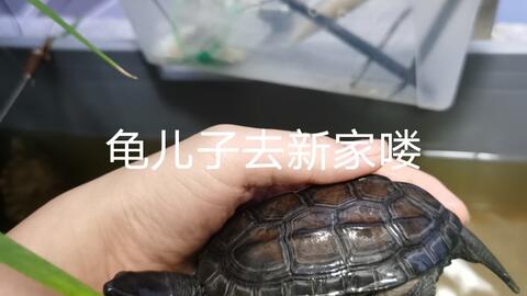 d3ee694461dfd1d20055ebfabc2e8f23f3c4f094.jpg@480w_270h_1c