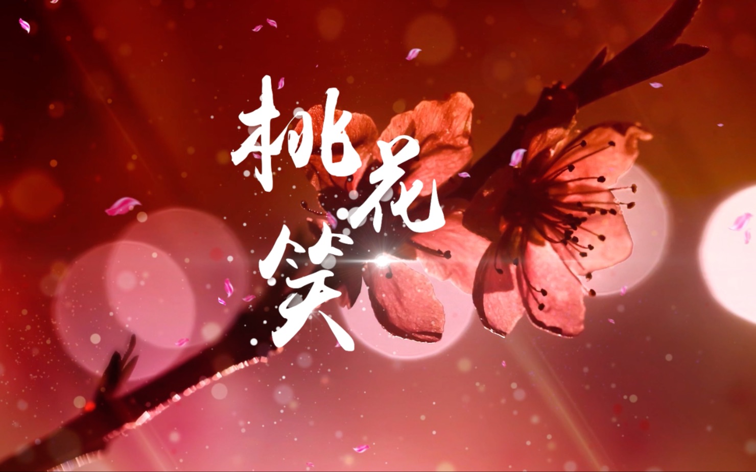 歌曲桃花笑led演出视频背景