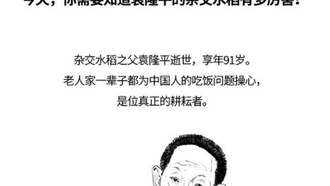 心肝宠2，免费观看短剧的精彩世界，心肝宠2，免费短剧的奇幻世界