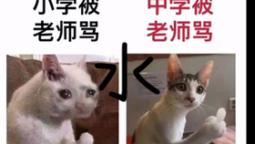 d40c7f66f6a2b023764f240f86233e5a15ecd931.jpg@280w_158h_1c_100q.jpg